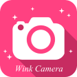 Wink Camera