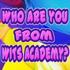 WITS Academy