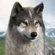 Wolf Game: Wild Animal Wars