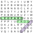 Word Search Ultimate