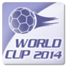 World Cup 2014 Game