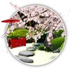 Zen Garden -Spring-