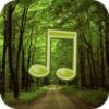 ForestSound