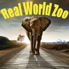 Zoo Animals Tour 3D