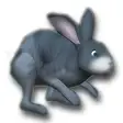 3D Desktop Bunny Rabbits Screen Saver