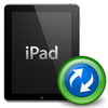 4Media iPad PDF Transfer