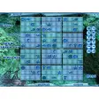 Blue Reef Sudoku