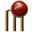 Cricket 3D