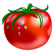 Tomato Torrent