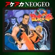 ACA NEOGEO ART OF FIGHTING