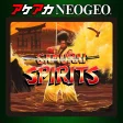 ACA NEOGEO SAMURAI SHODOWN