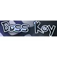 Anti Boss Key