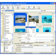 Arles Image Web Page Creator