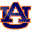 Auburn Tigers IE Browser Theme