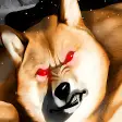 Backrooms Buff Doge Horror for Windows