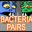 Bacteria Pairs