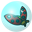 Bubble Bug