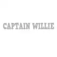 Captain Willie for Windows