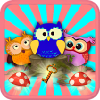 Crazy Owls