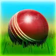 Cricket 3D World Street Challenge