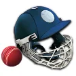 Cricket Captain 2014 for Android