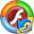 Dicsoft Flash Video Converter