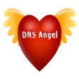 DNS Angel