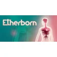 Etherborn