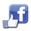 Facebook Like Button