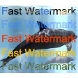 Fast Watermark