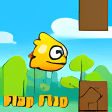 Flap Flap 10 