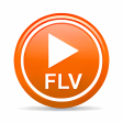 FLV Player