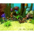 Free 3D Aquarium Screensaver