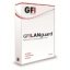 GFI LANguard