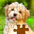 Jigsaw Puzzles Pro for Windows