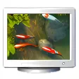 Koi Fish 3D Screensaver