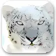 Mac OS X Snow Leopard Wallpapers