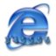 Multiple Internet Explorer