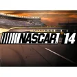 NASCAR '14