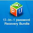 Password Unlocker Bundle Standard