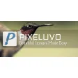 Pixeluvo