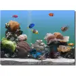 SereneScreen Marine Aquarium