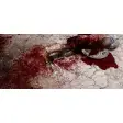 Skyrim Enhanced Blood Textures