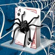 Spider Solitaire Deluxe HD