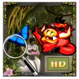 The Orchid - Hidden Object