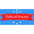 The Political Process