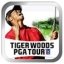 Tiger Woods PGA Tour 08