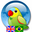 Vicon English Portuguese Dictionary