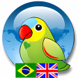 Vicon Portuguese English Dictionary