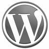 WordPress Stats Plugin